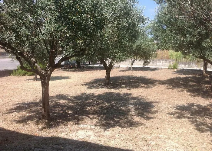 招待所 Il Podere 罗切拉伊奥尼卡